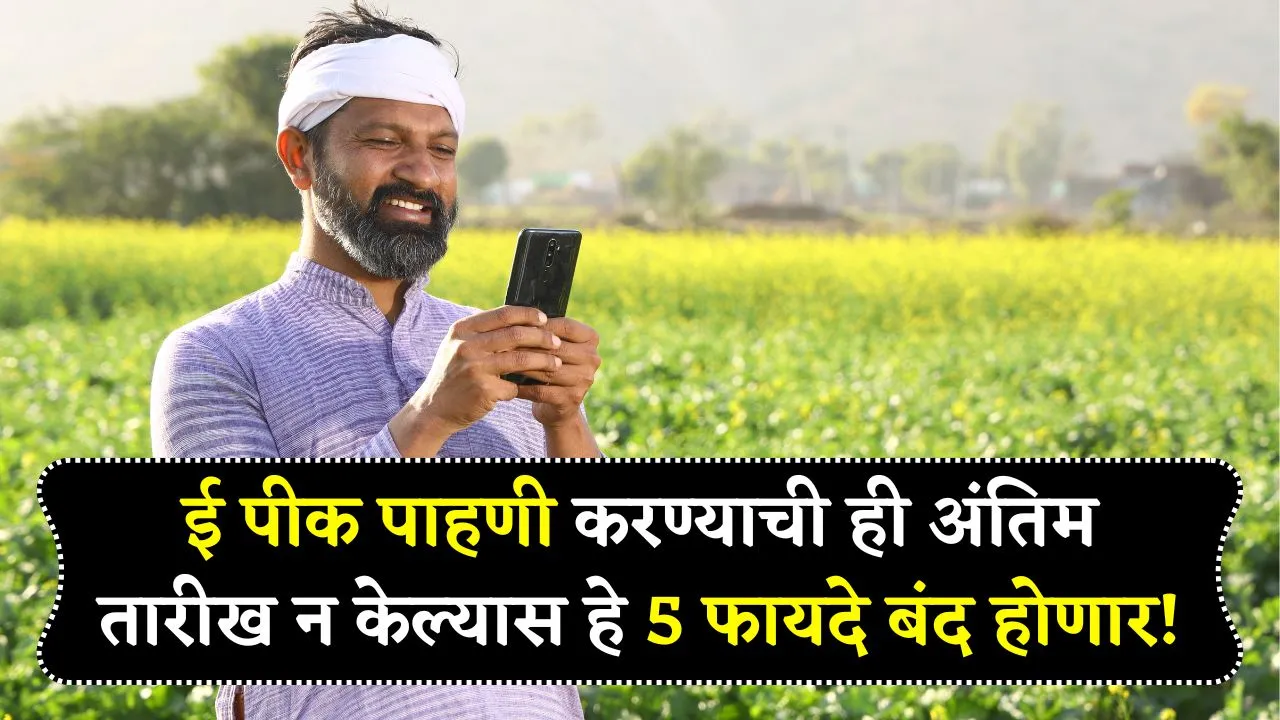 ई पीक पाहणी करण्याची ही अंतिम तारीख, न केल्यास हे 5 फायदे बंद होणार! E Pik Pahani Last Date