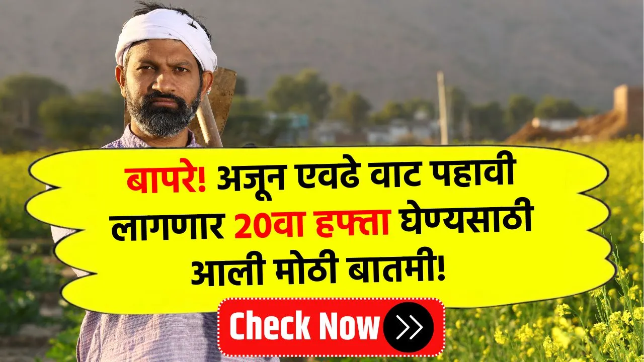 बापरे! अजून एवढे वाट पहावी लागणार 20वा हफ्ता घेण्यसाठी आली मोठी बातमी! PM Kisan Yojana