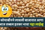 सोयाबीनने लावली बाजारात आग! सोयाबीन आज तब्बल सोन्या सारखा भाव! पहा किती? Aaj Soyabean Bhav