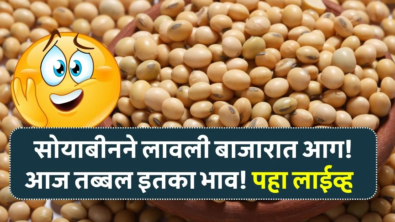सोयाबीनने लावली बाजारात आग! सोयाबीन आज तब्बल सोन्या सारखा भाव! पहा किती? Aaj Soyabean Bhav