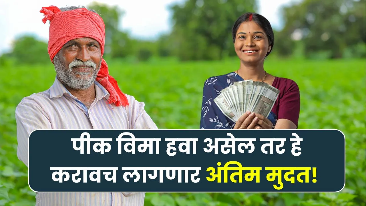 आता पीक विमा घ्यायचा असेल तर ई पीक पाहणी कराच ही अंतिम मुदत! E Pik Pahani Last Date