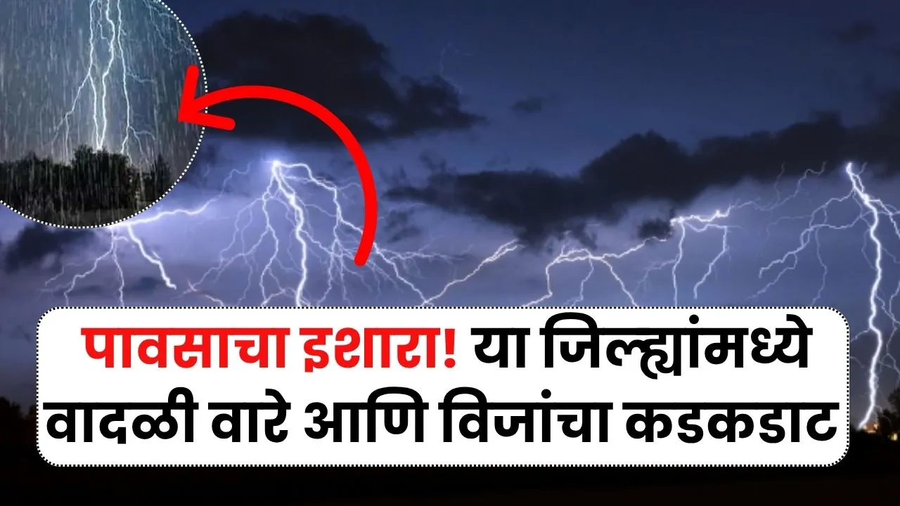पावसाचा इशारा! या जिल्ह्यांमध्ये वादळी वारे आणि विजांचा कडकडाट IMD Rain Alert
