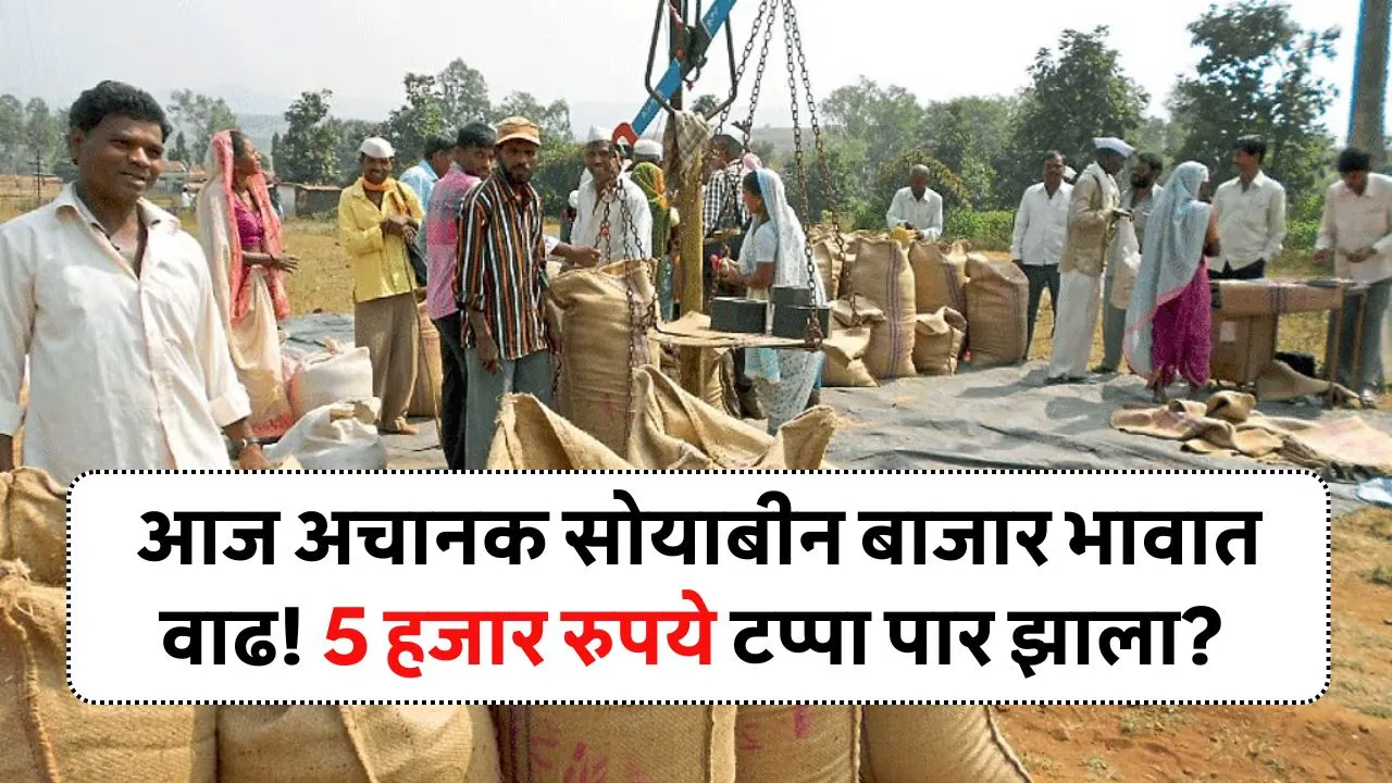 आज अचानक सोयाबीन बाजार भावात वाढ! 5 हजार रुपये टप्पा पार झाला? Soyabean Bajar Bhav